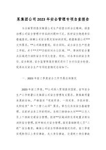 某集团公司2023年安全管理专项自查报告