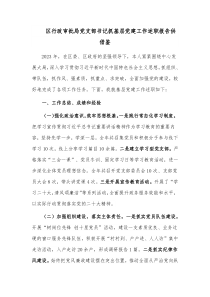 区行政审批局党支部书记抓基层党建工作述职报告供借鉴