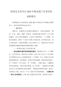 医院党支部书记2023年抓党建工作责任制述职报告