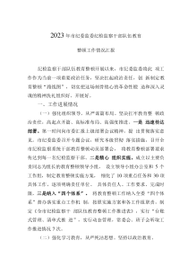 2023年市纪委监委纪检监察干部队伍教育整顿工作情况汇报