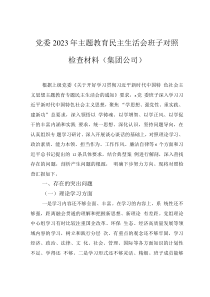 党委2023年主题教育民主生活会班子对照检查材料（集团公司）