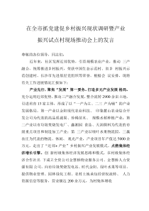 在全市抓党建促乡村振兴现状调研暨产业振兴试点村现场推动会上的发言