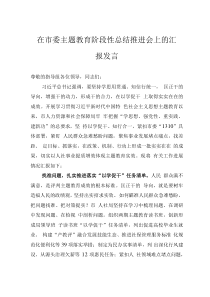 在市委主题教育阶段性总结推进会上的汇报发言