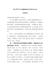 在县2023年主题教育集中学习研讨会上的总结讲话