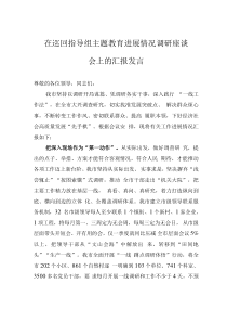 在巡回指导组主题教育进展情况调研座谈会上的汇报发言