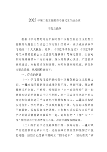 2023年第二批主题教育专题民主生活会班子发言提纲
