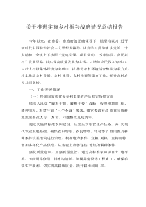 关于推进实施乡村振兴战略情况总结报告