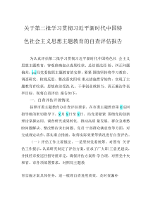 关于第二批学习贯彻习近平新时代中国特色社会主义思想主题教育的自查评估报告