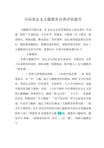 分局党总支主题教育自查评估报告