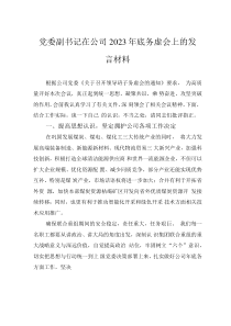 党委副书记在公司2023年底务虚会上的发言材料