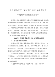 公司领导班子（党支部）2023年主题教育专题组织生活会发言材料