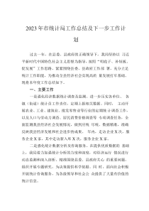 2023年市统计局工作总结及下一步工作计划