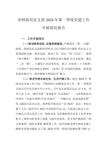 市财政局党支部2024年第一季度党建工作开展情况报告