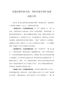 党建品牌经验交流：坚持党建引领打造新动能方程
