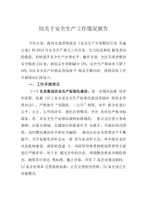 局关于安全生产工作情况报告