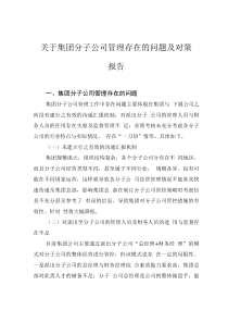 关于集团分子公司管理存在的问题及对策报告