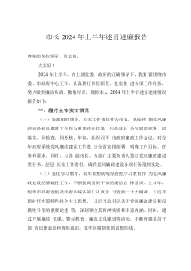 市长2024年上半年述责述廉报告