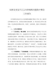 局群众身边不正之风和腐败问题集中整治工作报告
