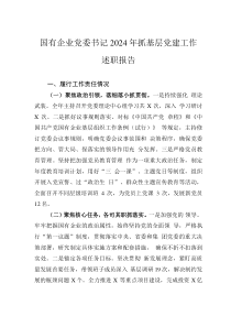 国有企业党委书记2024年抓基层党建工作述职报告