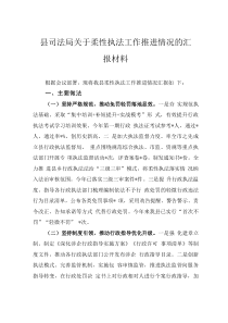 县司法局关于柔性执法工作推进情况的汇报材料