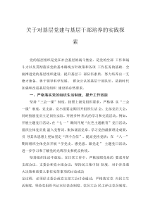关于对基层党建与基层干部培养的实践探索