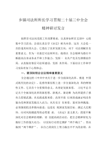 乡镇司法所所长学习贯彻二十届三中全会精神研讨发言