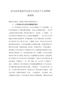 县司法局党组书记民主生活会个人对照检查材料