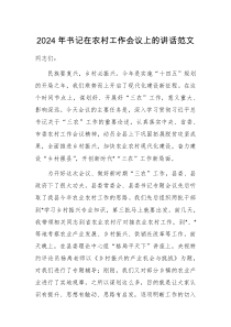 2024年书记在农村工作会议上的讲话范文