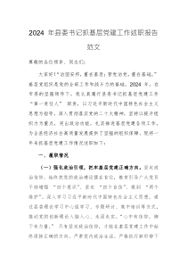 2024 年县委书记抓基层党建工作述职报告范文