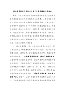 政法委系统学习党的二十届三中全会精神心得体会