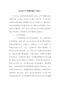 安全生产工作情况报告（2024）