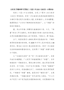 以钉钉子精神学习贯彻二十届三中全会《决定》心得体会