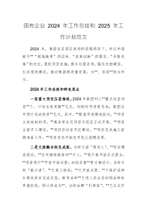 国有企业 2024 年工作总结和 2025 年工作计划范文