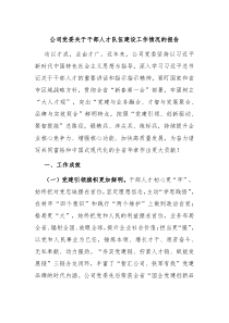 公司党委关于干部人才队伍建设工作情况的报告