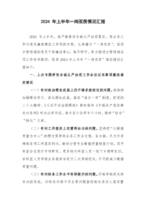 2024 年上半年一岗双责情况汇报