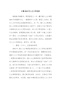 X 镇 2024 年人大工作总结