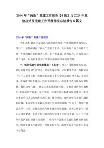 2024年“两新”党建工作报告【4篇】与2024年党建总结及党建工作开展情况总结报告5篇文