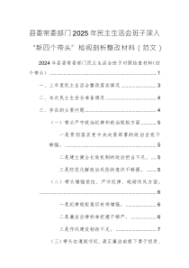 县委常委部门2025年民主生活会班子深入“新四个带头”检视剖析整改材料（范文）