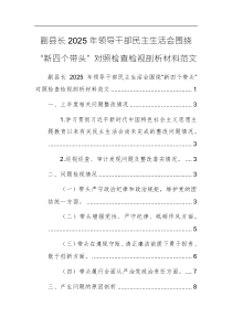 副县长2025年领导干部民主生活会围绕“新四个带头”对照检查检视剖析材料范文