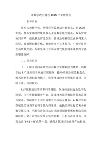 市数字政府建设2025年工作要点