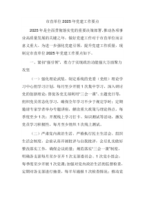 市直单位2025年党建工作要点