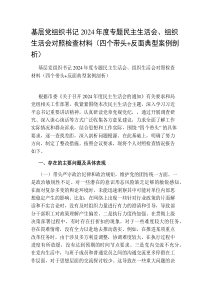 基层党组织书记2024-2025年度专题民主生活会、组织生活会对照检查材料（四个带头+反面典型案例剖析）