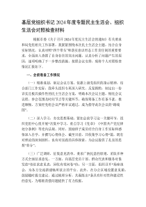 基层党组织书记2024-2025年度专题民主生活会、组织生活会对照检查材料