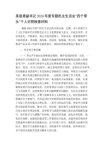 某县委副书记2024-2025年度专题民主生活会“四个带头”个人对照检查材料