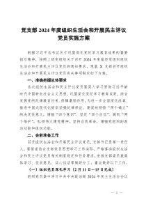 党支部2024年度组织生活会和开展民主评议党员实施方案