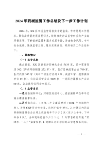 2024年药械监管工作总结及下一步工作计划