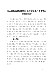 市人大社会建设委关于全市安全生产工作情况的调研报告