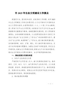 市2025年生态文明建设工作要点