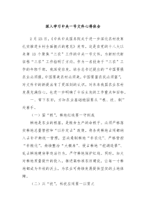 深入学习中央一号文件心得体会