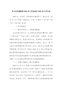 市文化和旅游局2024年工作总结及2025年工作计划